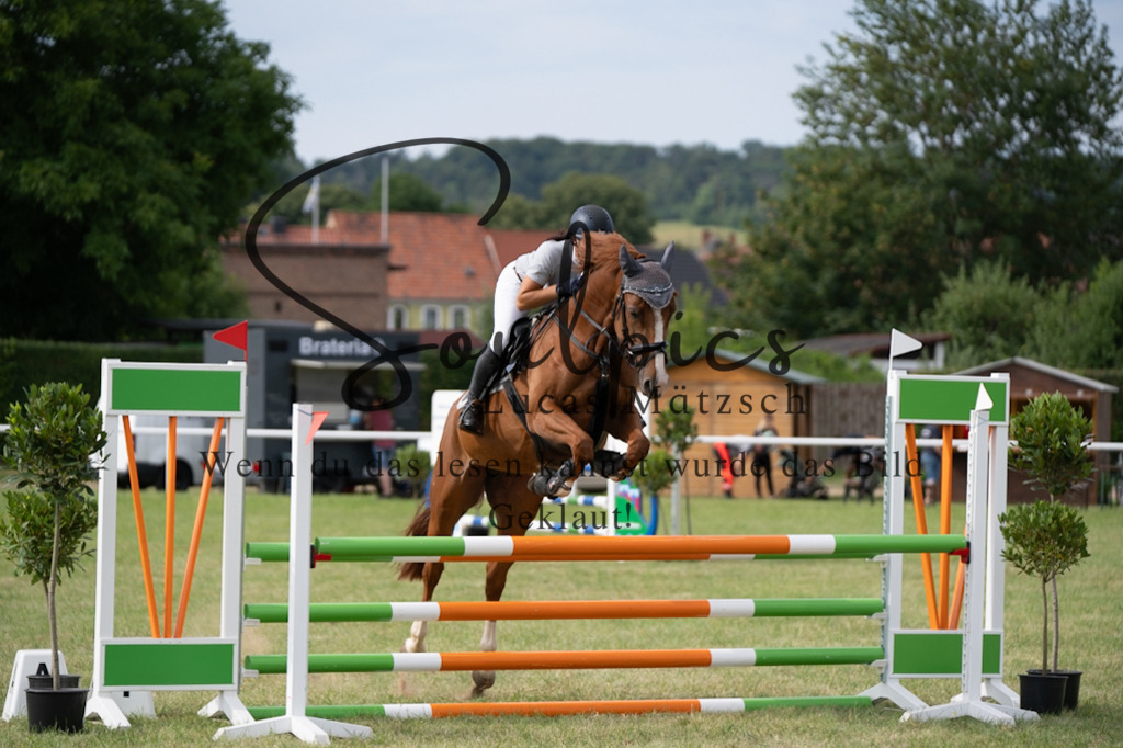 A7V01412 | Pferdefotograf