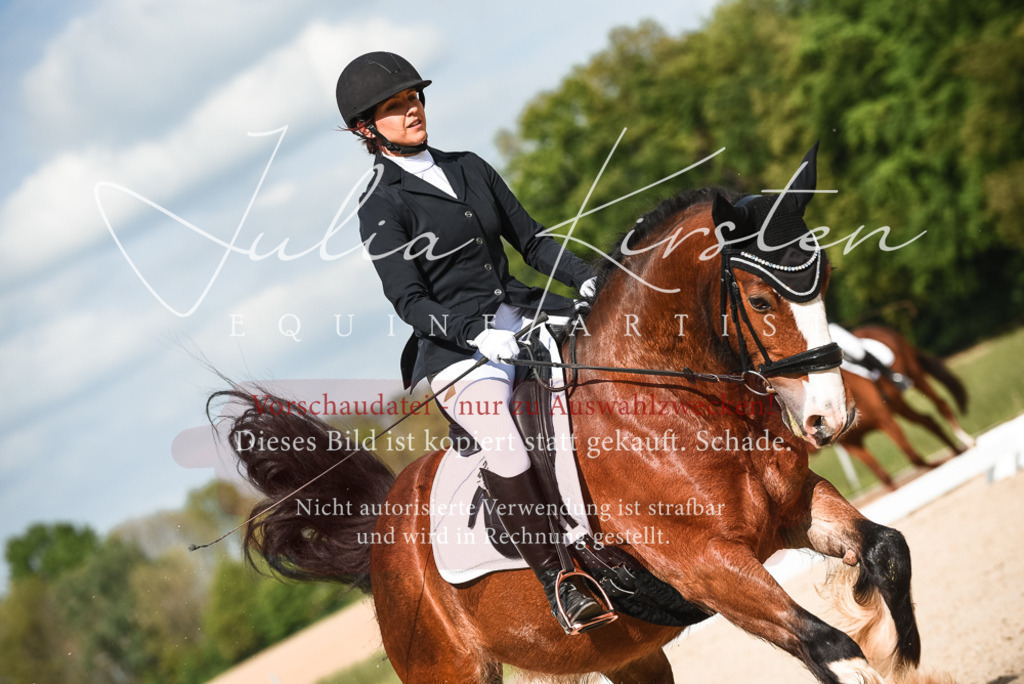 20230518_JK-Röhrsdorf-12-0309 | Pferde- und Turnierfotografie in Westsachsen. Pferdeportraits, Auftragszeichnungen und intuitive Kunst.