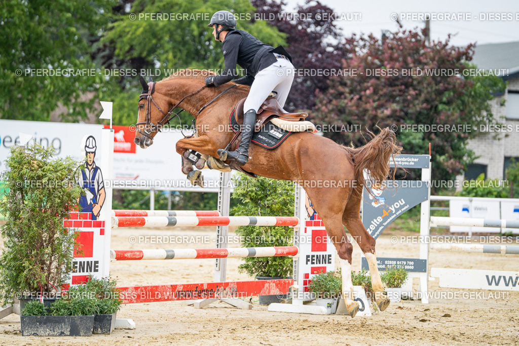 DSC00695 | Pferdegrafie