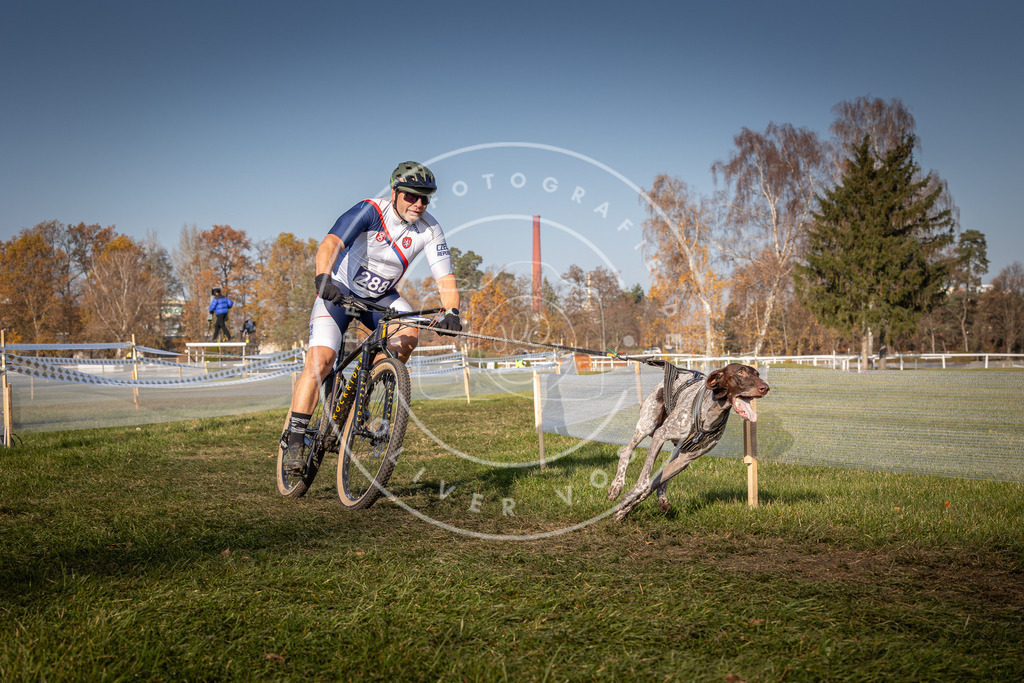 CaniXpix_0L8A6964 | Hundefotografie, Tierfotograf, Pfotenfotografie, Fotoshooting Hund, Hunde Portrait, Hundesport, Hundeportraits, Heideshooting, Hunde, Sportfotograf, Hundefotograf, Turnierhundsport, THS,  - Realisiert mit Pictrs.com
