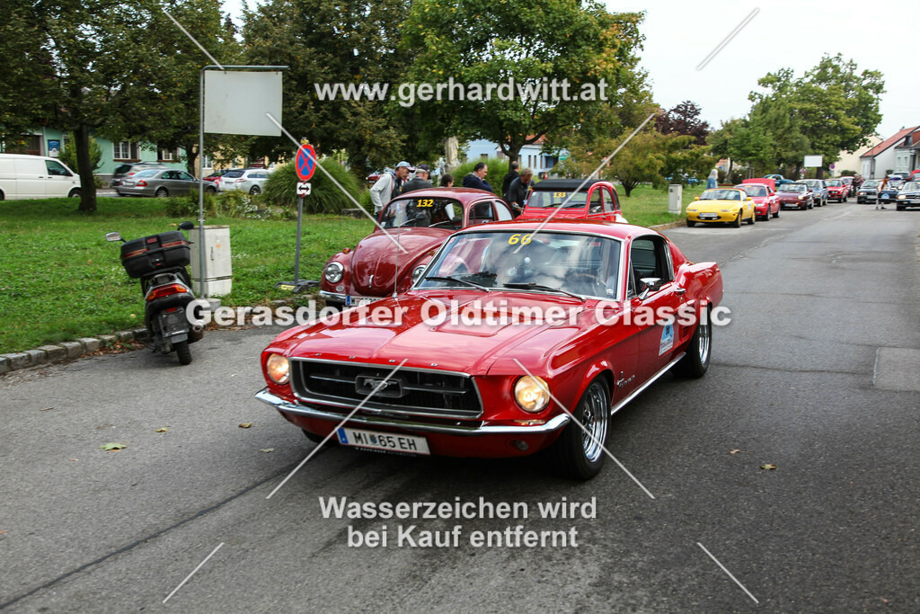 IMG_4503 | Gerhard Witt