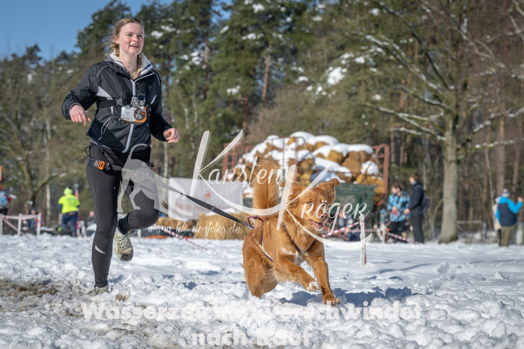 1106_ZZ90026-2 | kk-dogfotos
