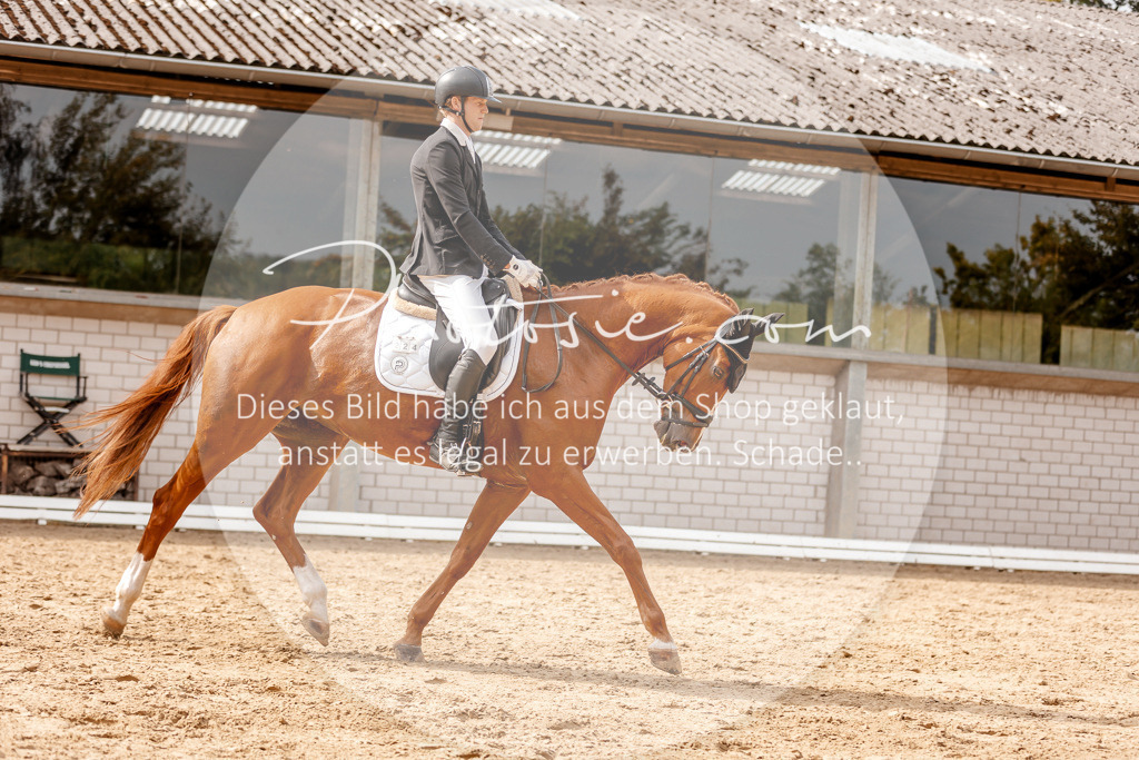 3I6A3850 | Stimmungsvolle Portraits und Reitsportfotografie im Ruhrgebiet und im Münsterland.

Pferdefotografie, Hundefotografie, Tierfotografie, Reportagen, Portraits von Tier und Mensch, Turnierfotografie in Bochum, Recklinghausen, Marl, Haltern am See, Dülmen.. - Realisiert mit Pictrs.com
