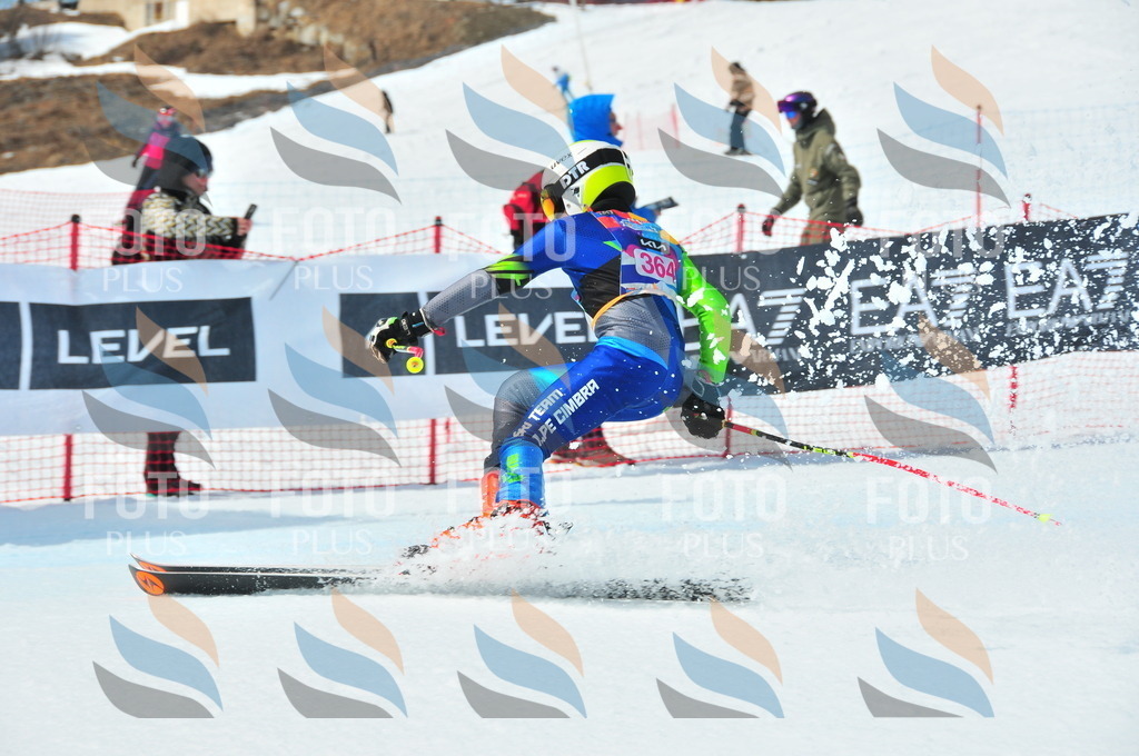 DSC_7075 | holidayphoto