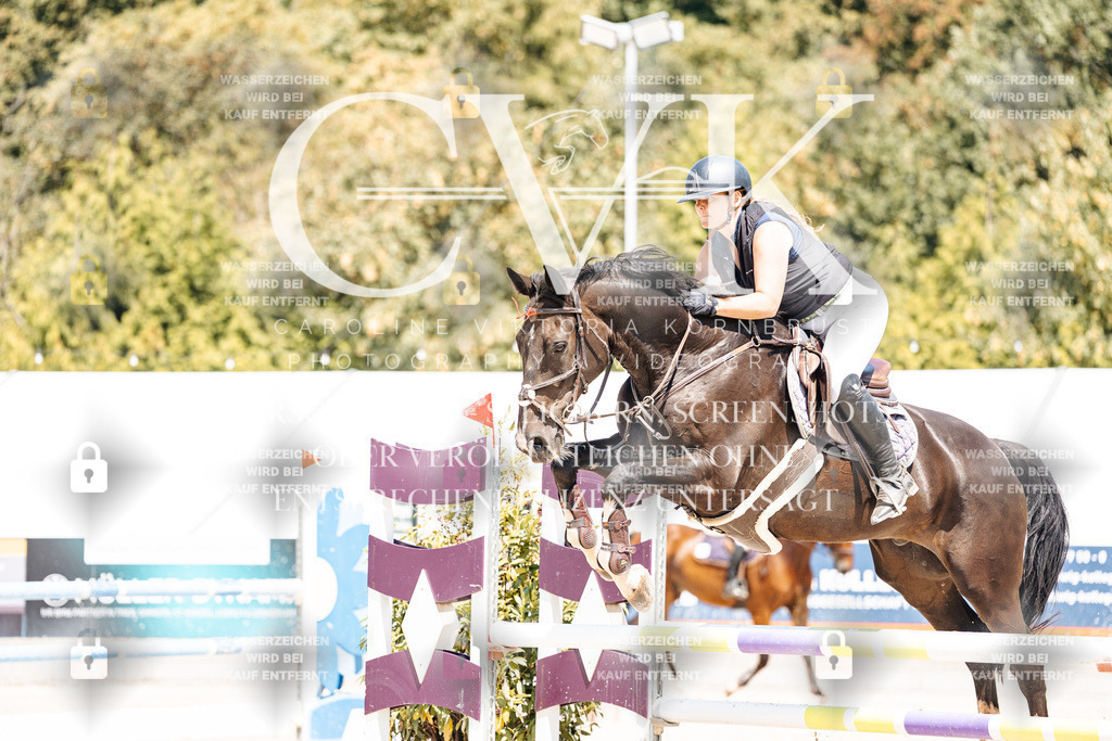 CK900511 | Turnierfotografie Pferdefotografie Trier Rheinland-Pfalz Pferdesport Reitsport Tierfotografie Sportfotografie Pferdevideo Pferdevideografie Equestrianvideography equestrianphotography  - Realisiert mit Pictrs.com