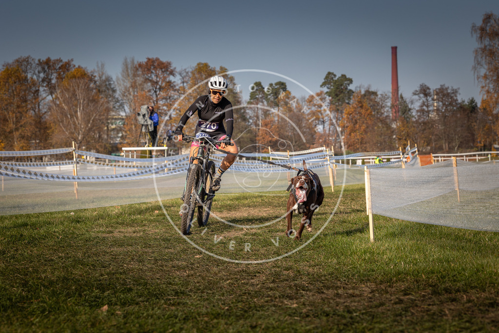 CaniXpix_0L8A7778 | Hundefotografie, Tierfotograf, Pfotenfotografie, Fotoshooting Hund, Hunde Portrait, Hundesport, Hundeportraits, Heideshooting, Hunde, Sportfotograf, Hundefotograf, Turnierhundsport, THS,  - Realisiert mit Pictrs.com