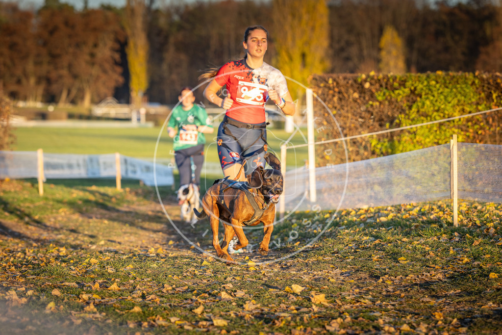 CaniXpix_DV3A5461 | Hundefotografie, Tierfotograf, Pfotenfotografie, Fotoshooting Hund, Hunde Portrait, Hundesport, Hundeportraits, Heideshooting, Hunde, Sportfotograf, Hundefotograf, Turnierhundsport, THS,  - Realisiert mit Pictrs.com