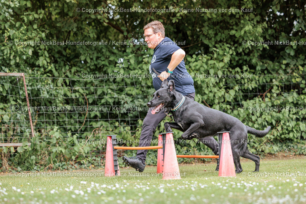 THS-Quakenbrück-2026-Nickbest-Hundefotografie-4196 | Dein Hund! Dein Moment! Deine Erinnerungen! Hundefotografie in Bremen Blumenthal. Ich fange die besonderen Momente deines Vierbeiners ein – ob Indoor mit Blitzanlage oder in der freien Natur. Sicher dir dein Moment und dein Termin für eure Erinnerungen.