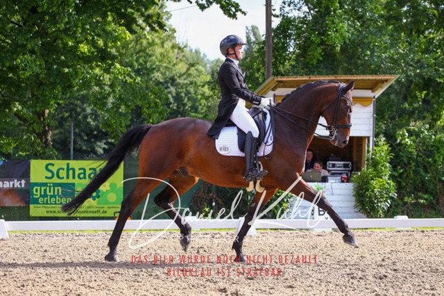 DKP41497 | Turnierfotos kaufen im Webshop von Daniel Kuhl Photography – entdecke professionelle Reitsportfotos aus Turnieren & Events. Hochwertige Turnierbilder online bestellen & sichern. Jetzt Fotos von Reitsportturnieren kaufen!