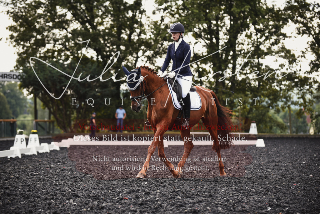 DSC_3802 | Pferde- und Turnierfotografie in Westsachsen. Pferdeportraits, Auftragszeichnungen und intuitive Kunst.