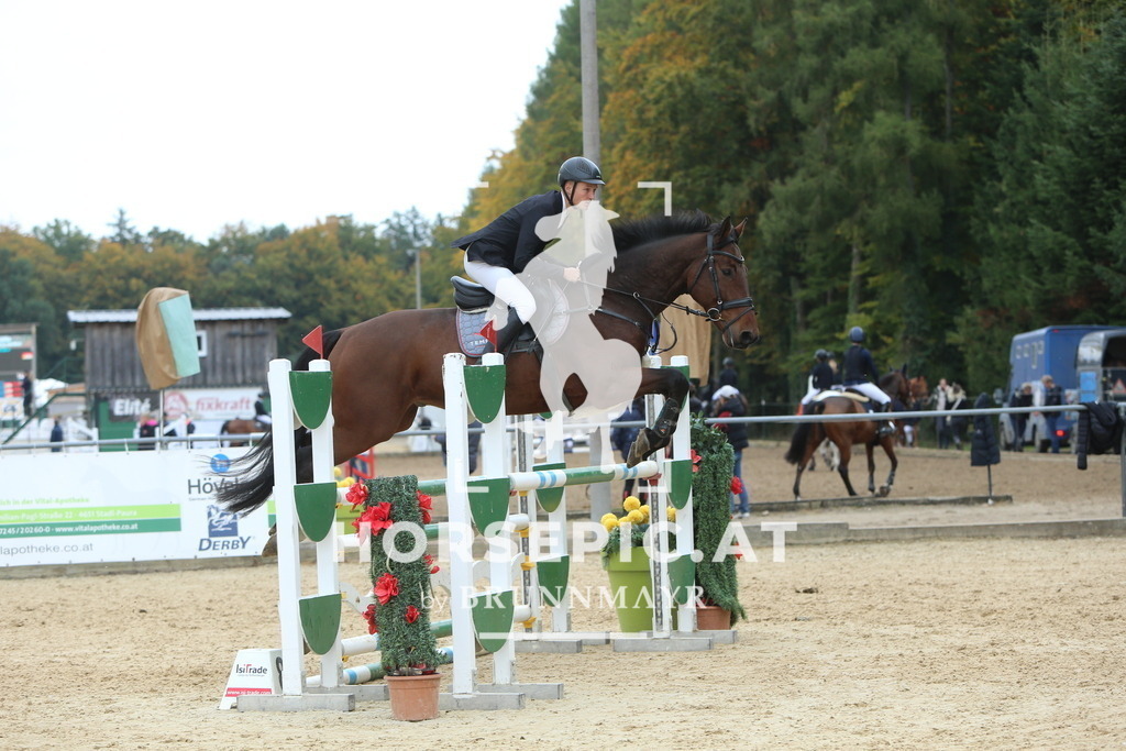 DL2Q7375 | Willkommen bei Brunnmayr - Design & Fotografie – Ihrem Spezialisten für Reitturniere und Pferdeveranstaltungen in Oberösterreich, Salzburg und Bayern! Seit über 17 Jahren sind wir leidenschaftlich dabei.