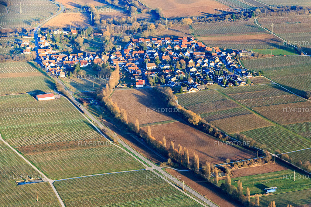 Dorfansicht aus Westen | Luftbild: Dorfansicht aus Westen in Knöringen im Bundesland Rheinland-Pfalz in Deutschland. Foto: IMG_097393.jpg vom 10.03.2017 durch Werner Riehm/FLY-FOTO.de - Realisiert mit Pictrs.com
