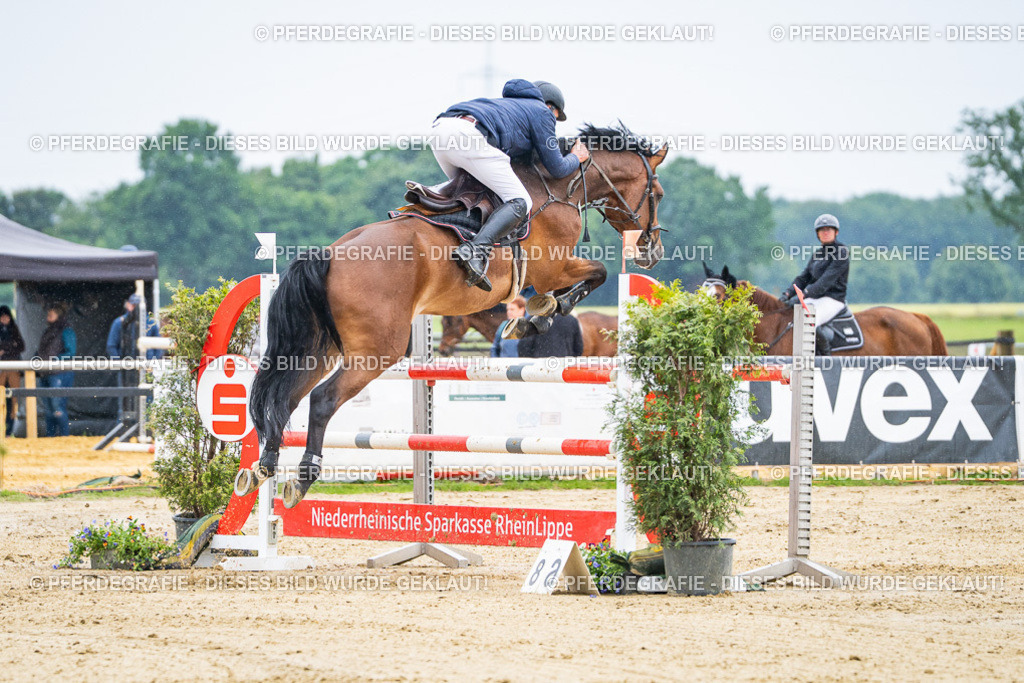 DSC08996 | Pferdegrafie