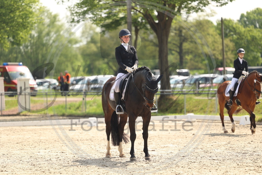 994A6592 | sabrinanicolaifotografie - Realisiert mit Pictrs.com