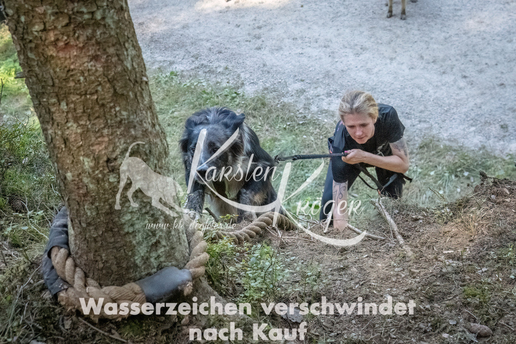 1155_ZZ92483 | kk-dogfotos