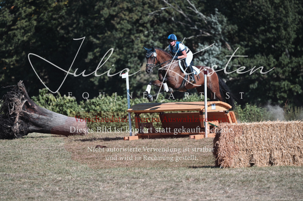 DSC_8709 | Pferde- und Turnierfotografie in Westsachsen. Pferdeportraits, Auftragszeichnungen und intuitive Kunst.