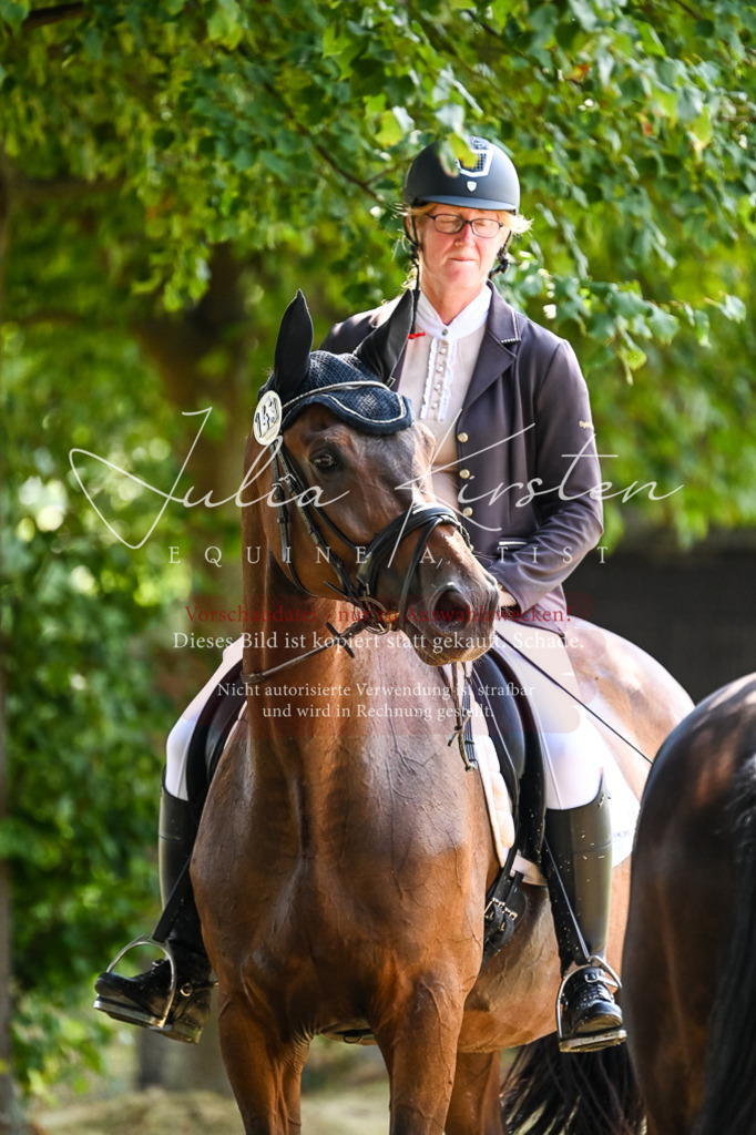 DSC_2757 | Pferde- und Turnierfotografie in Westsachsen. Pferdeportraits, Auftragszeichnungen und intuitive Kunst.