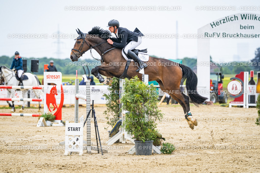 DSC09179 | Pferdegrafie