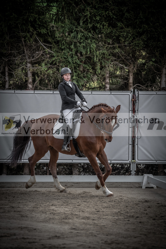 DSC_8927 | equestrian-live-com