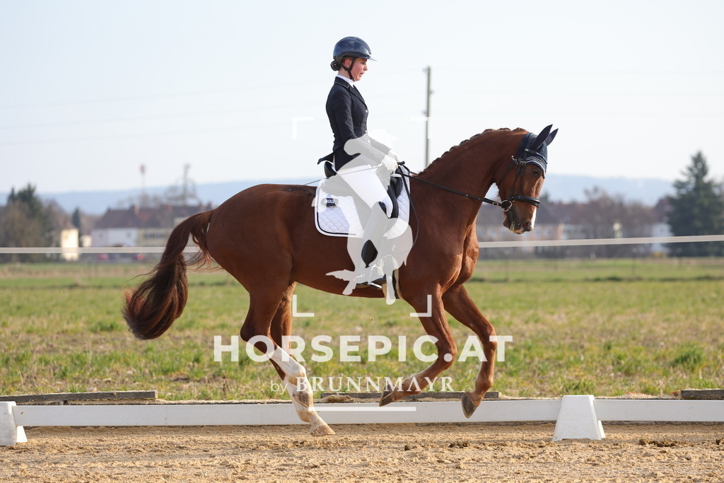 0P6A5956 | Willkommen bei Brunnmayr - Design & Fotografie – Ihrem Spezialisten für Reitturniere und Pferdeveranstaltungen in Oberösterreich, Salzburg und Bayern! Seit über 17 Jahren sind wir leidenschaftlich dabei.