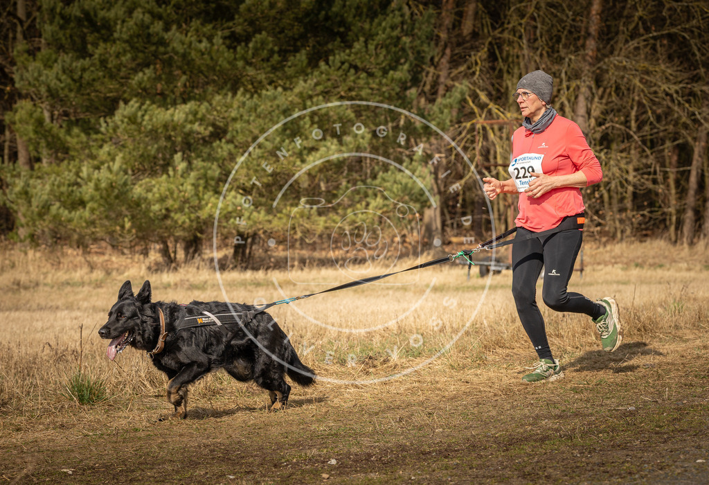 DV3A5490 | Hundefotografie, Tierfotograf, Pfotenfotografie, Fotoshooting Hund, Hunde Portrait, Hundesport, Hundeportraits, Heideshooting, Hunde, Sportfotograf, Hundefotograf, Turnierhundsport, THS,  - Realisiert mit Pictrs.com