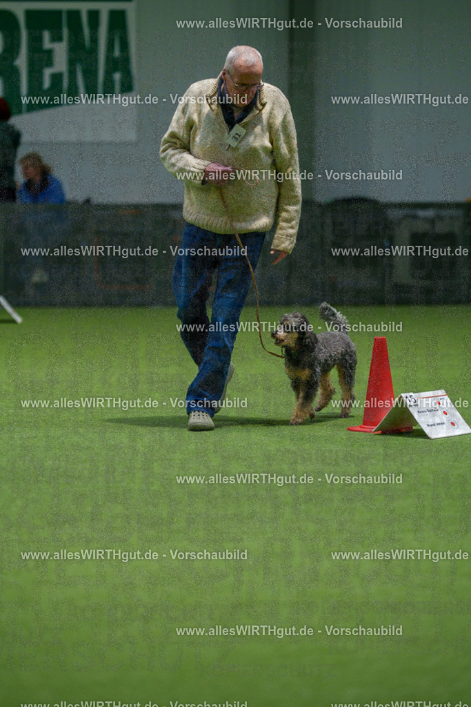 7R505716 | Professionelle Tierfotografie in Mönchengladbach von Daniel Wirth (allesWIRTHgut). Liebevolle & natürliche Bilder von Hunden & Katzen für unvergessliche Erinnerungen.