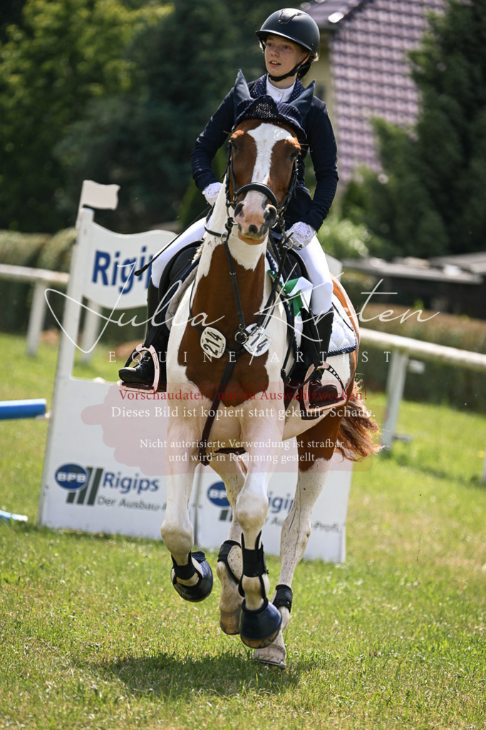 DSC_9206 | Pferde- und Turnierfotografie in Westsachsen. Pferdeportraits, Auftragszeichnungen und intuitive Kunst.