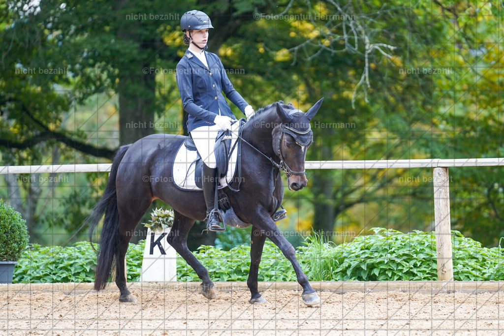 20221008-FAH00935 | Diessen am Ammersee, 2022, Dressur- und Springturnier, Reitsportbilder, Turnierfotografen Bayern, Pferdefotografen, Fotoagentur Herrmann, Turnierbilder