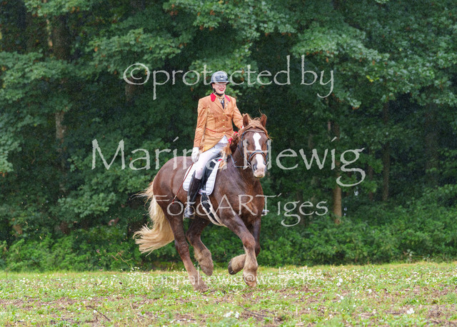 Jagd Perdoel 26 Sony-03531_MarinaHewig | Fotografie, FotoArt, PferdesportArt, Pferdesportfotografie, Landschaftsfotografie, Reisefotografie, Reise, Pferde - Realisiert mit Pictrs.com
