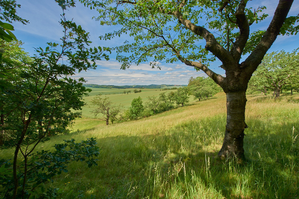 Auf dem Kanitzberg bei Burkhardswalde 07 | Bedeutsame Landschaften Deutschlands - Realisiert mit Pictrs.com
