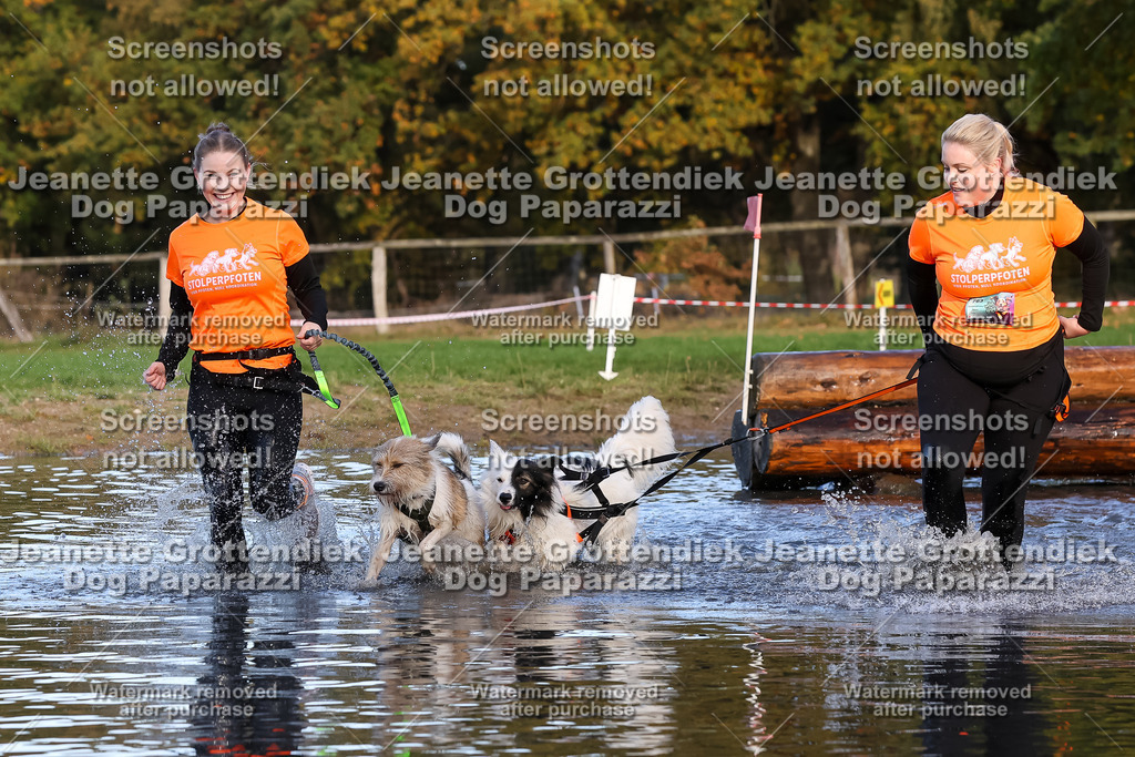 Dog Paparazzi - Strongdog 10-25-8570 | Dog Paparazzi Jeanette Grottendiek Fotografie & Videografie - Realisiert mit Pictrs.com