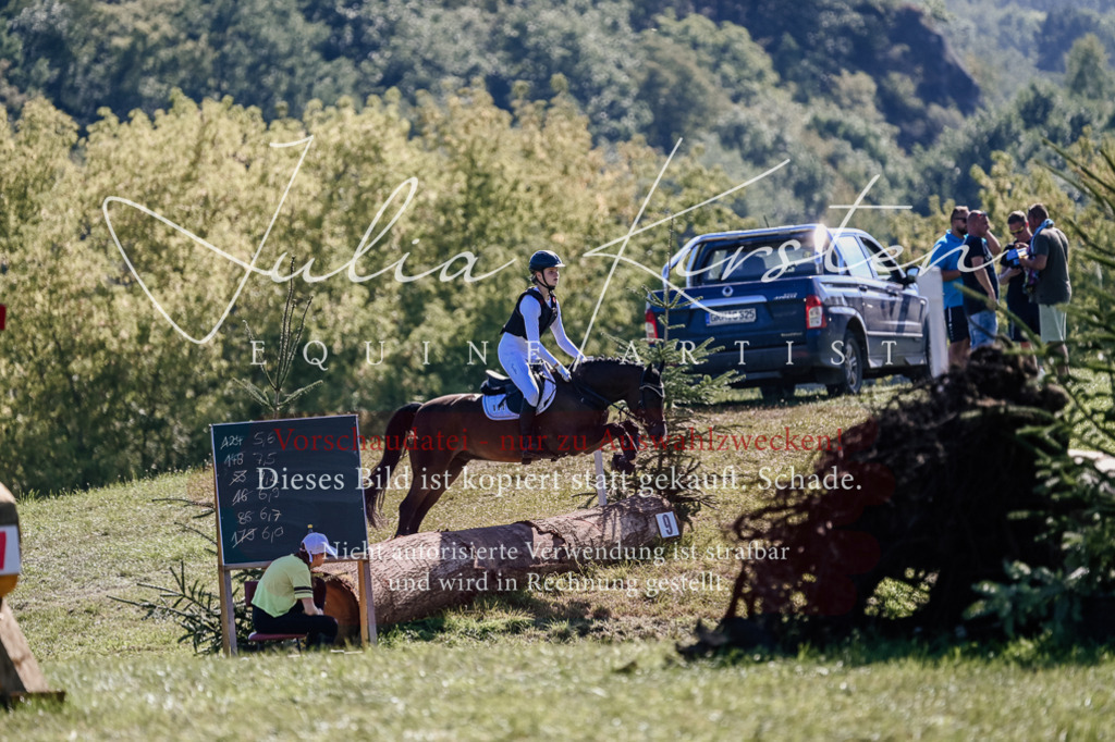 DSC_2924 | Pferde- und Turnierfotografie in Westsachsen. Pferdeportraits, Auftragszeichnungen und intuitive Kunst.