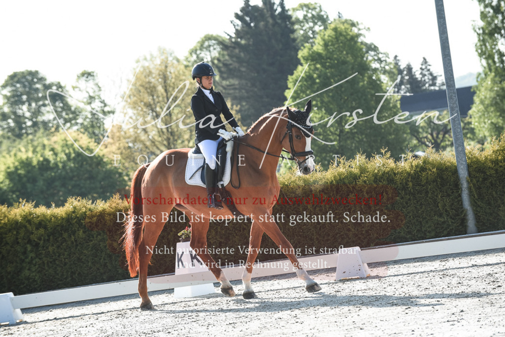 20230518_JK-Röhrsdorf-09-0418 | Pferde- und Turnierfotografie in Westsachsen. Pferdeportraits, Auftragszeichnungen und intuitive Kunst.