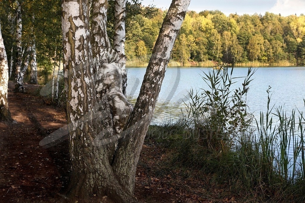 NatureArt-HERBSTBIRKEN_6819 | Birkenstämme mit Modell | #002 | Modell: Randy | Foto: Tschiponnique Skupin - Realisiert mit Pictrs.com