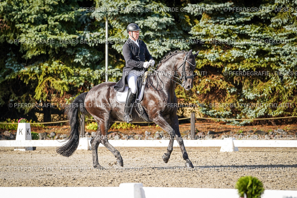 DSC00661 | Pferdegrafie