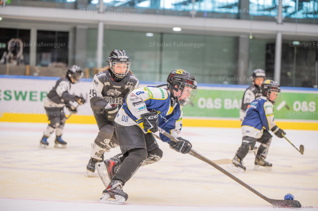 DSC_1537 | "Fussifoto.com – Ihr Ansprechpartner für hochwertige Fotografie! Entdecken Sie kreative Bilder und professionelle Dienstleistungen. Kontaktieren Sie uns für Ihre Projekte!"