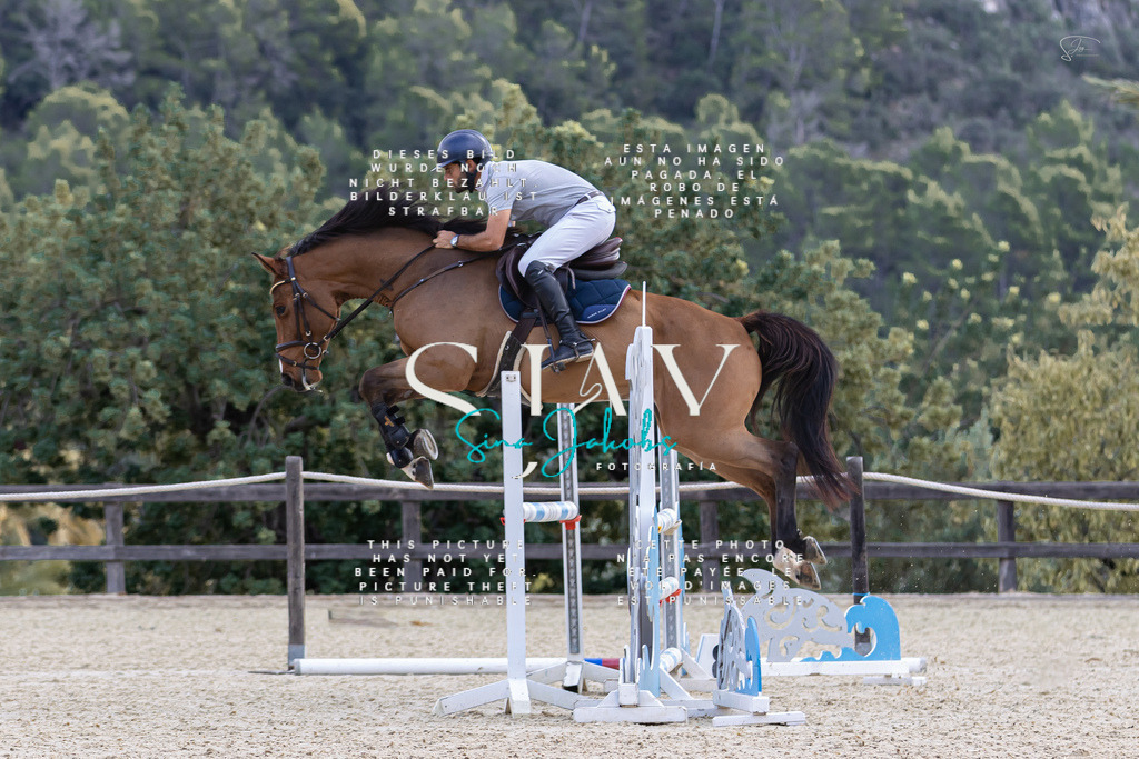 IMG_6121 | s-jay-photography - Realisiert mit Pictrs.com