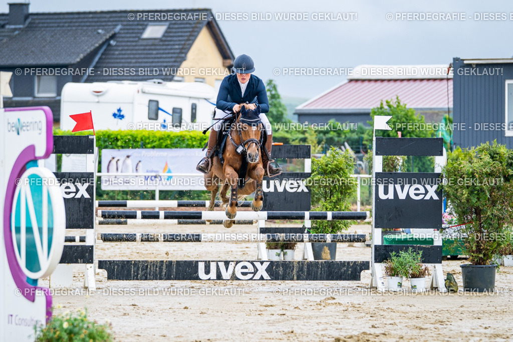 DSC03158 | Pferdegrafie