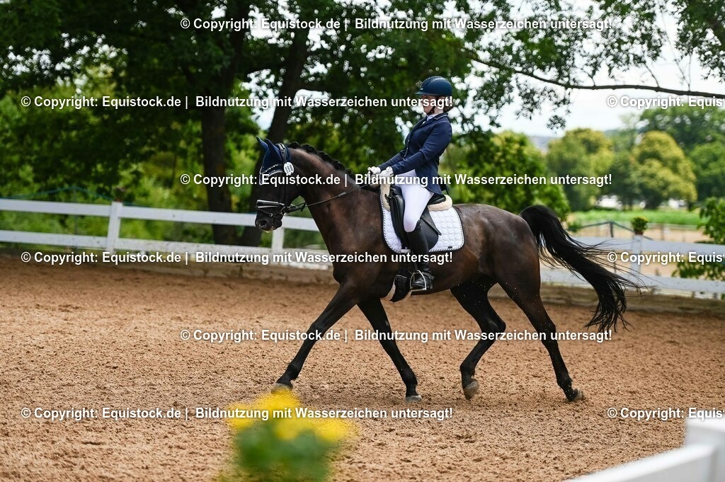 20230716_03_Dressurprfg. Kl.L - Tr._0614 | equistock