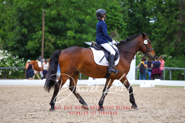 DKP46260 | Turnierfotos kaufen im Webshop von Daniel Kuhl Photography – entdecke professionelle Reitsportfotos aus Turnieren & Events. Hochwertige Turnierbilder online bestellen & sichern. Jetzt Fotos von Reitsportturnieren kaufen!