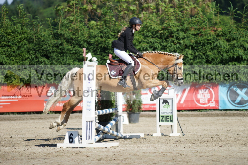 DSC06109 | equestrian-live-com
