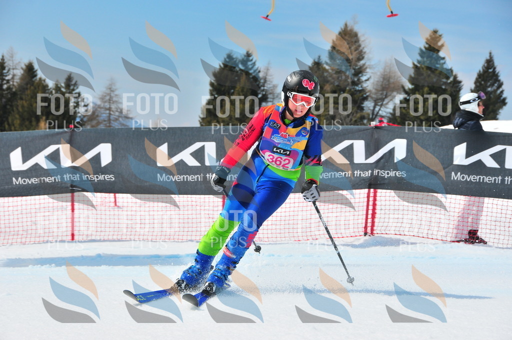 DSC_7058 | holidayphoto