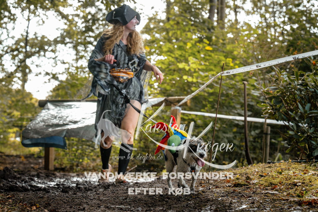 1452DZ6_3748Z6 | kk-dogfotos