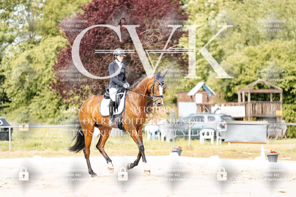 CK900704 | Turnierfotografie Pferdefotografie Trier Rheinland-Pfalz Pferdesport Reitsport Tierfotografie Sportfotografie Pferdevideo Pferdevideografie Equestrianvideography equestrianphotography  - Realisiert mit Pictrs.com