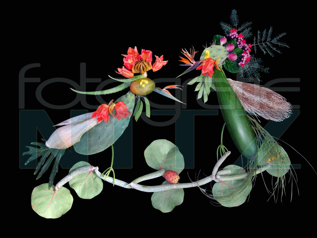 62 | Nitz Fotografie aus Montabaur bietet Ihnen hier die Möglichkeit Bilder auszusuchen und zu bestellen. 