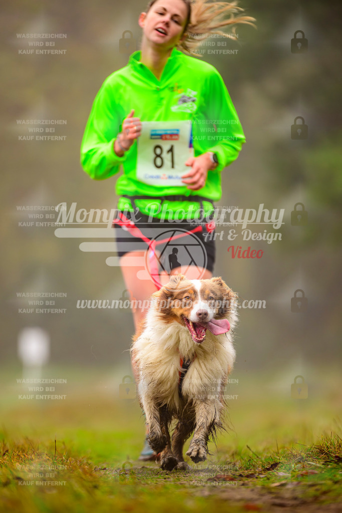 MompixPhotography_Bischwiller2025_Canicross-89 | mompixphotography