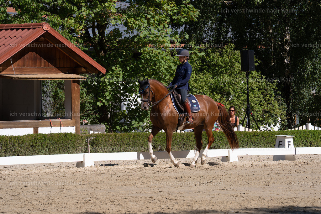WL_DR_86_sinafilmart_IN06955 | working equitationturnier fotograf videograf stoibphotography marixx film working equitation deutschland reitsport turnierfotografie eventfotografie equestrian events