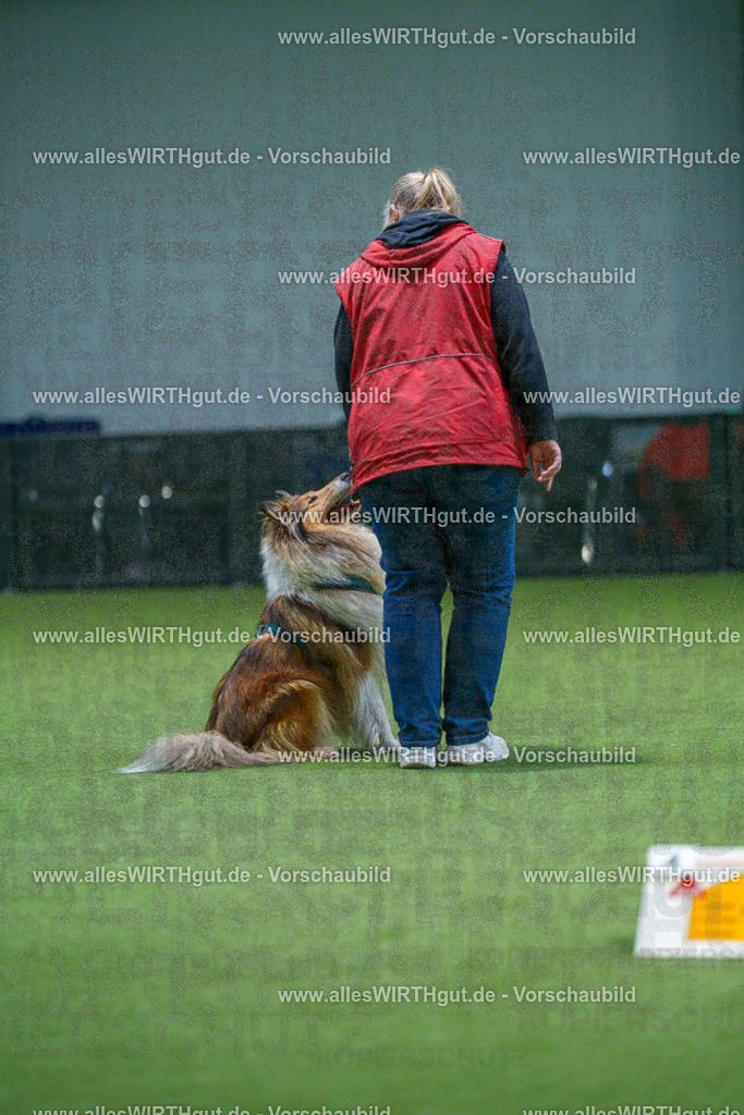 7R500429 | Professionelle Tierfotografie in Mönchengladbach von Daniel Wirth (allesWIRTHgut). Liebevolle & natürliche Bilder von Hunden & Katzen für unvergessliche Erinnerungen.