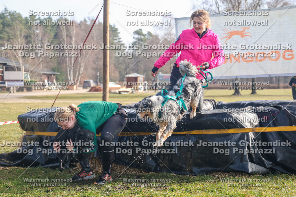 Dog Paparazzi - Strongdog North Mrz26-361 | Dog Paparazzi Jeanette Grottendiek Fotografie & Videografie - Realisiert mit Pictrs.com