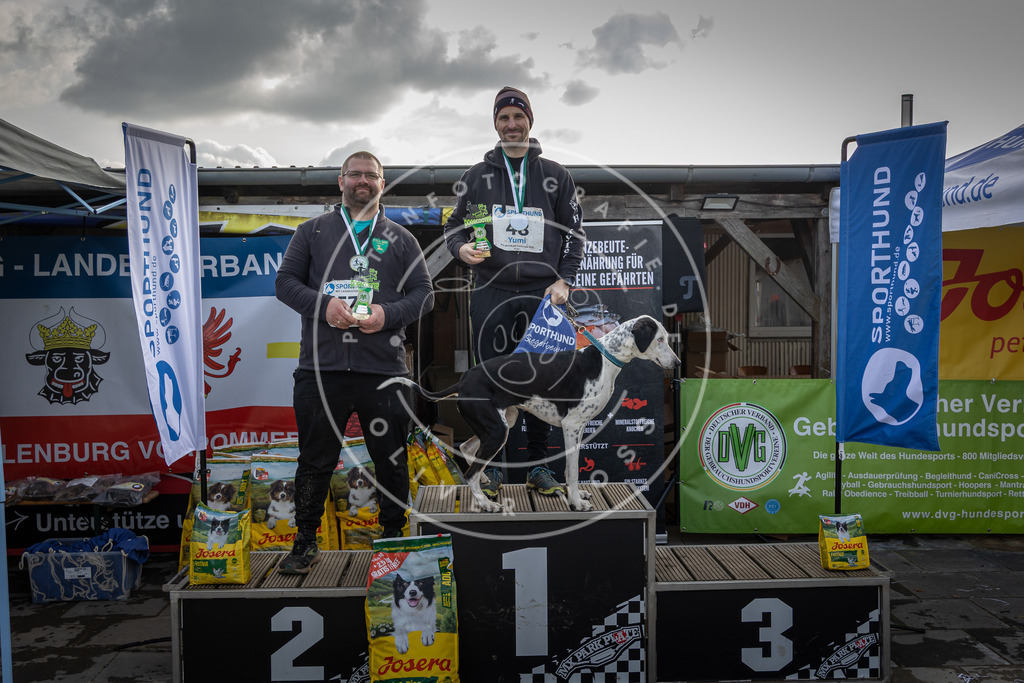 0L8A9235 | Hundefotografie, Tierfotograf, Pfotenfotografie, Fotoshooting Hund, Hunde Portrait, Hundesport, Hundeportraits, Heideshooting, Hunde, Sportfotograf, Hundefotograf, Turnierhundsport, THS,  - Realisiert mit Pictrs.com